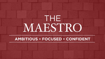 Maestro-personality-type-test